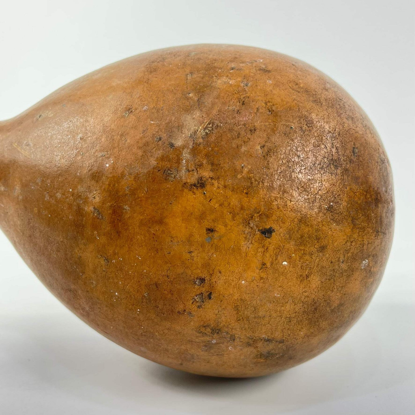 Somalian Milk Drinking Gourd MATTER COLLECTION