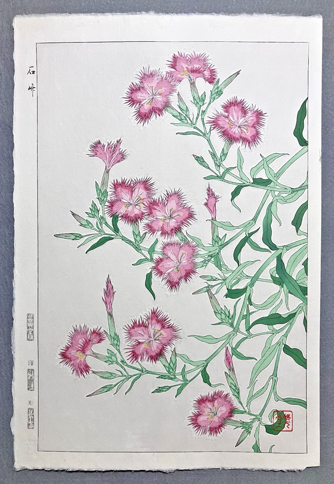 Kawarazaki Shodo Woodblock Print “Dianthus chinensis” Kyoto Unsodo
