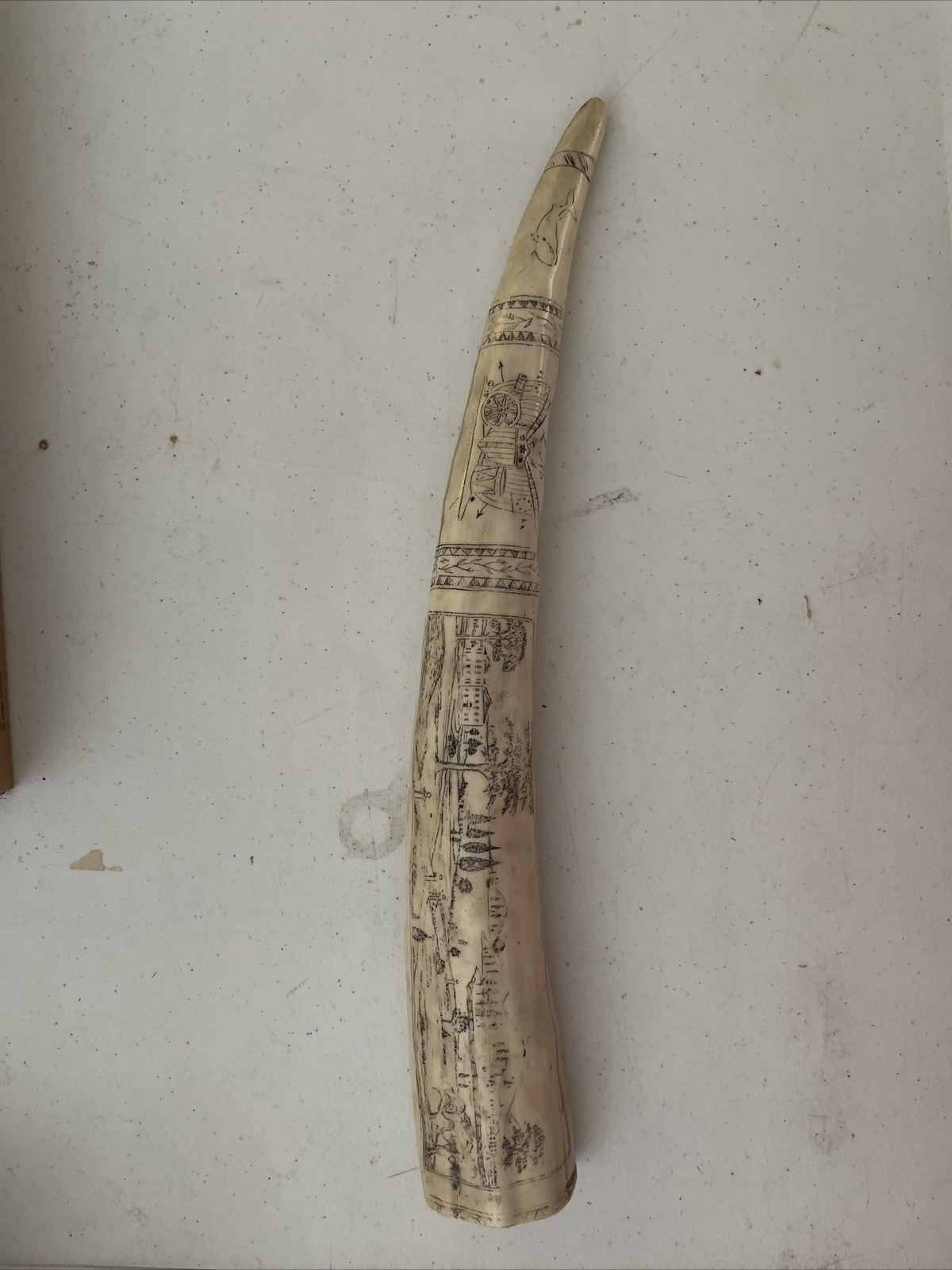 Cast Resin Walrus Tusk “The bark Of Cavalier”