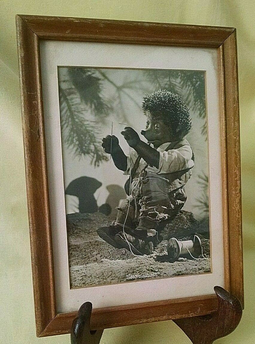 Strohwitwer Picture Framed Matted Vintage AK Mecki Needle Thread Germany 1955