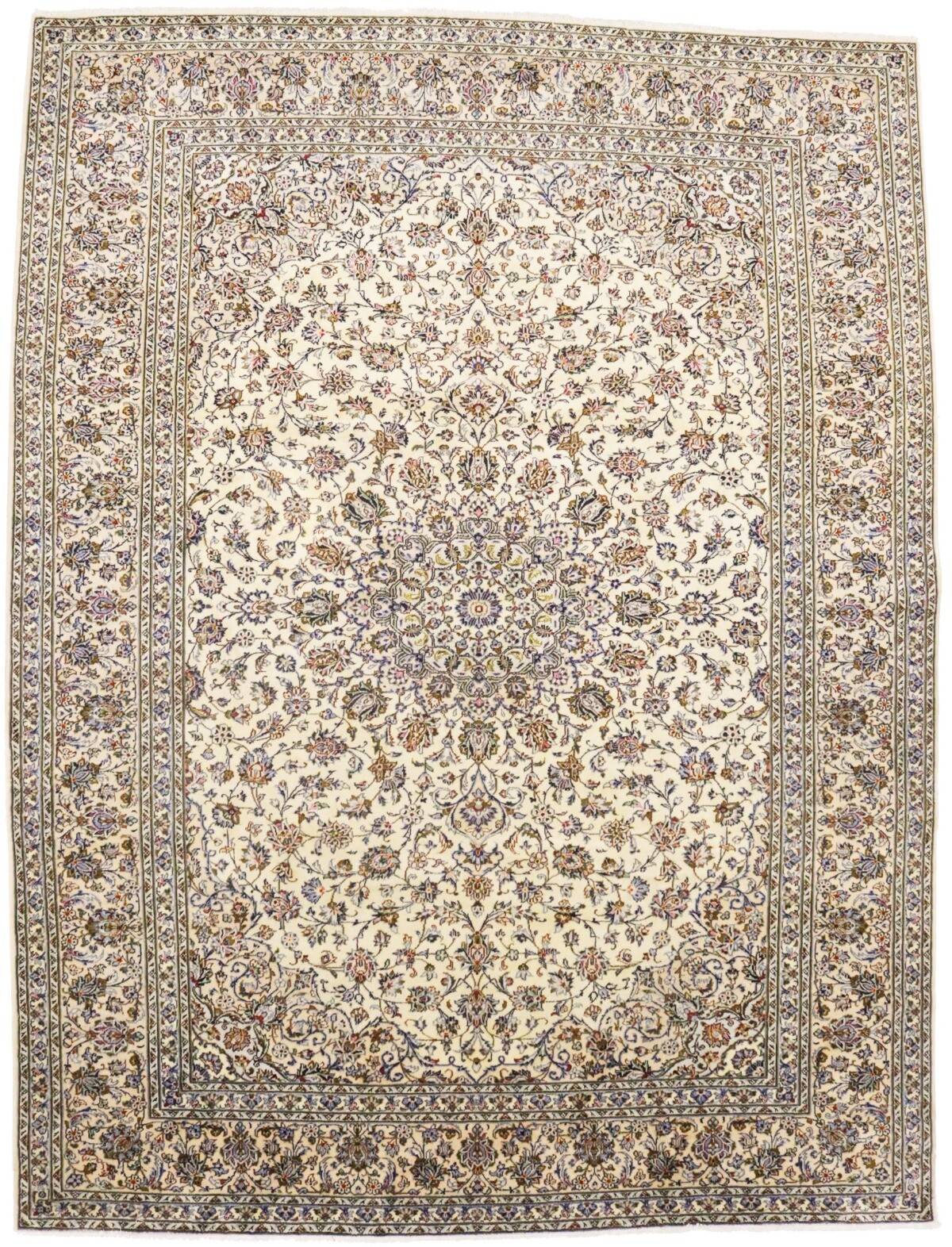10X13 ft Vintage Traditional Medallion Floral Design Oriental Rug Classic Carpet