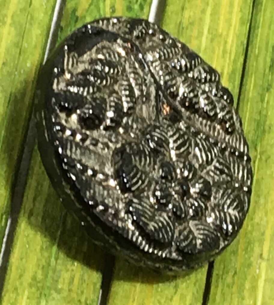 Antique Black Glass Button Silver Luster Flower Lacey Relief Tunnel Shank 1/2″