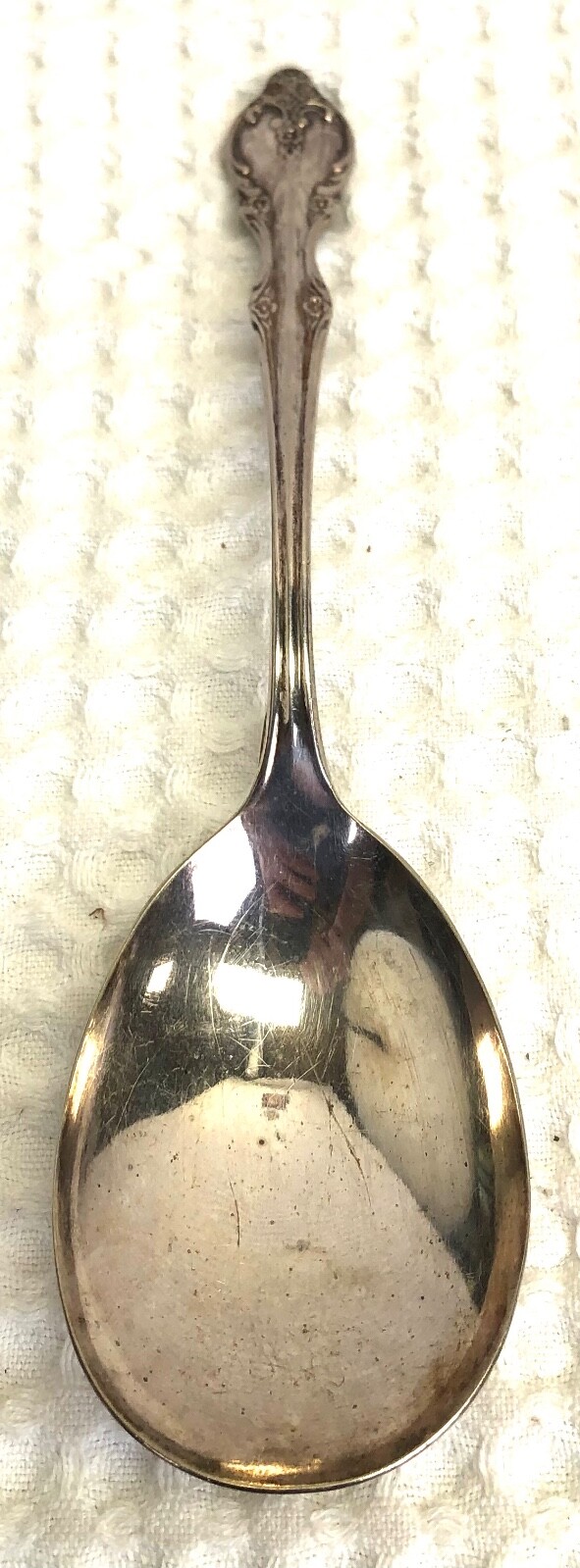 Vintage! Wm.Rogers Bros.Co. Silver-Plated Serving Spoon Southern Splendor