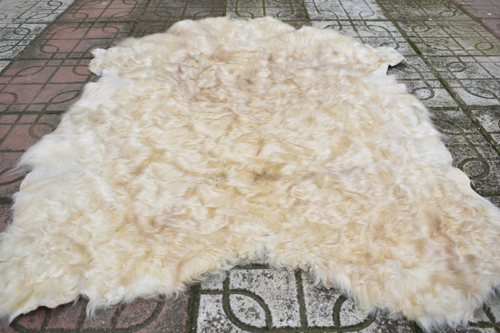 Angora Goat Leather Goatskin Fur 2 x 3 ft Pelt Hide 100% Natural Goat Skin Rug