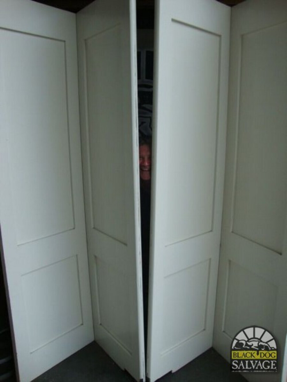 Bi-fold Door Set, 55″ x 100.5″, Solid Wood, 2 Panel, Room Divider or Closet