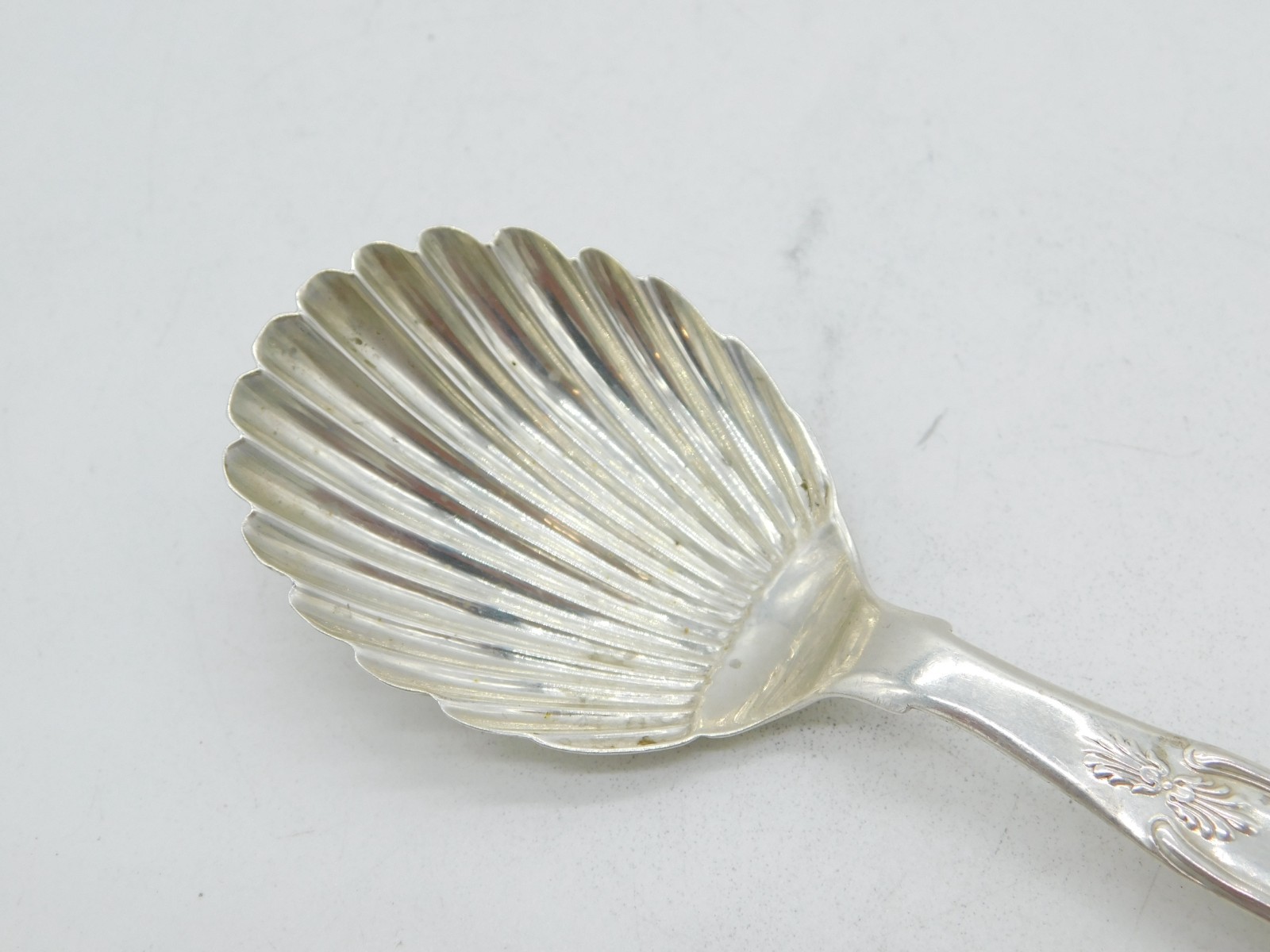 Scottish George IV Sterling Silver Tea Caddy Spoon Antique 1822 Edinburgh