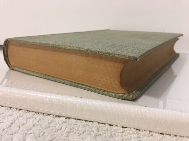 Antique Medico-Forensic Study Book PSYCHOPATHIA SEXUALIS 1906 German to English