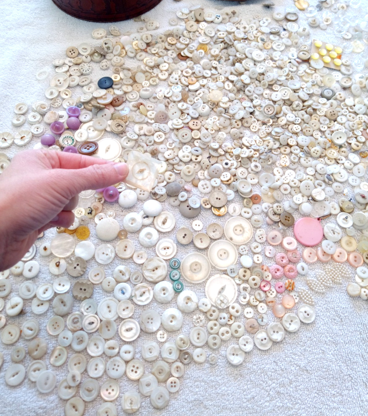 Huge Lot Antique Vintage Buttons Mother of Pearl Shell Plastic Glass Carved Plai
