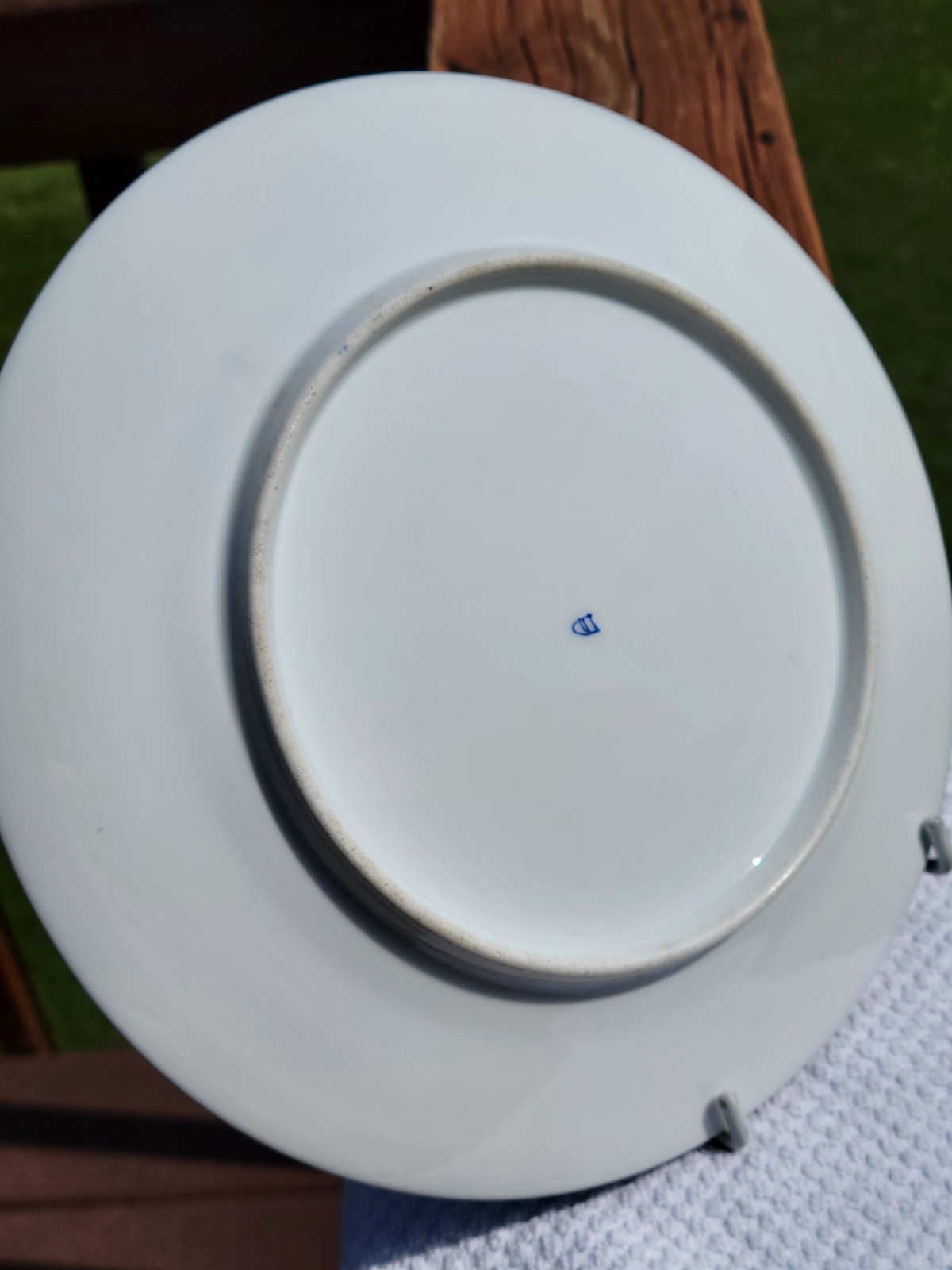 Antique Victorian Cobalt Royal Vienna Hand Painted Girl Butterfly Portrait Plate