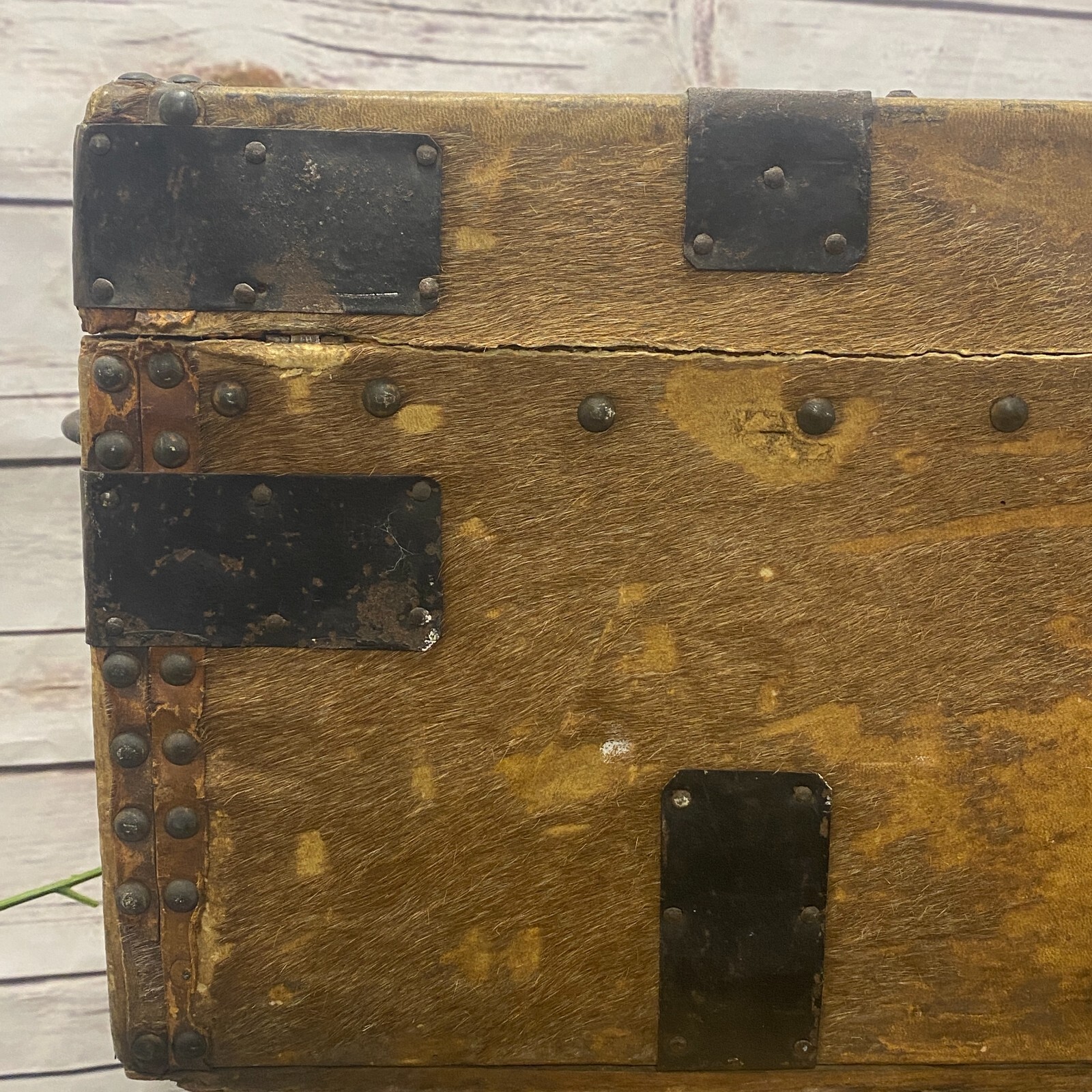 John Woodson Exeter ANTIQUE HIDE COVERED STAGECOACH TRUNK Newspaper Lined VTG