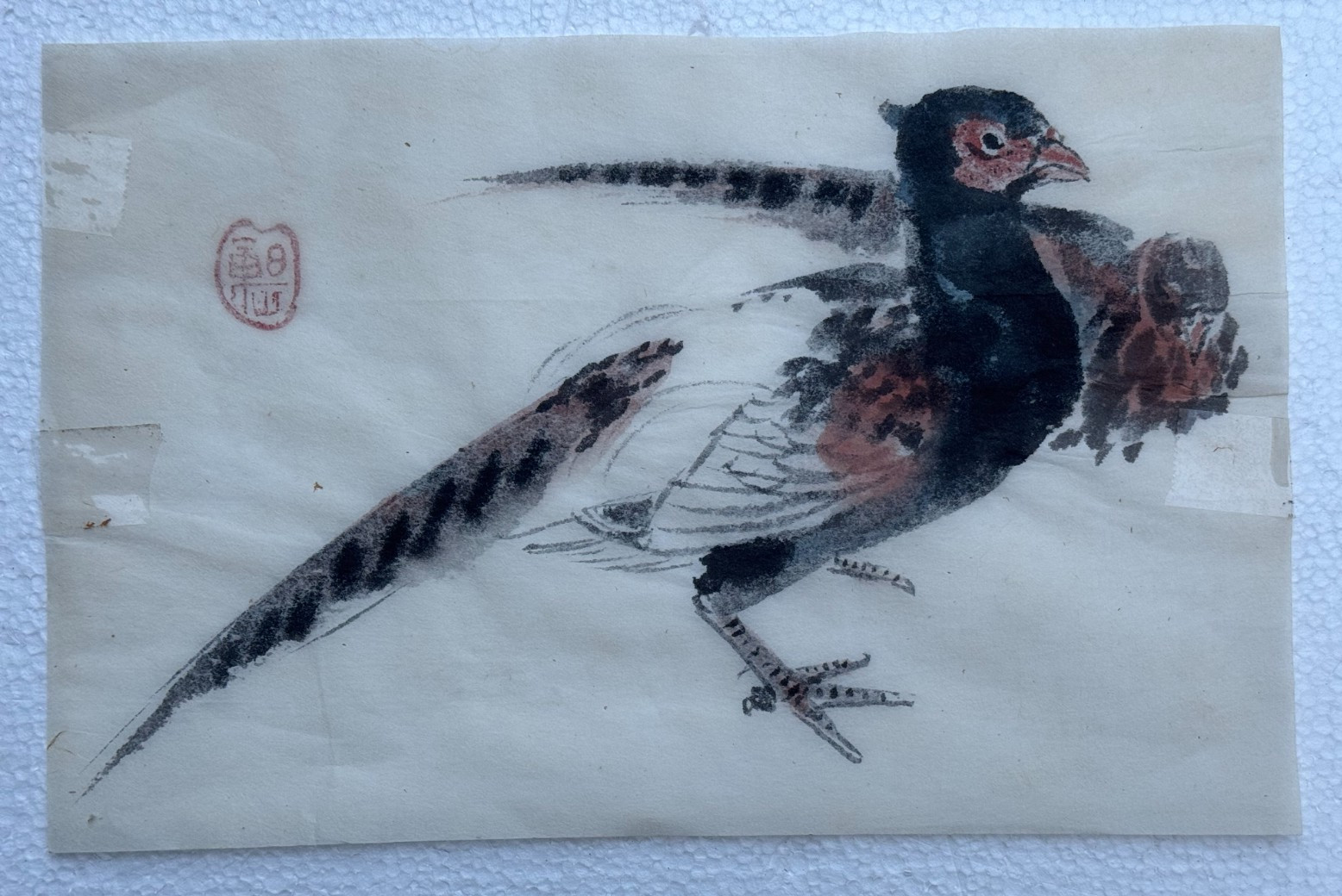 VINTAGE ASIAN PAINTING PHEASANT BIRD CHINESE JAPANESE INK & WATERCOLOR RED SEAL