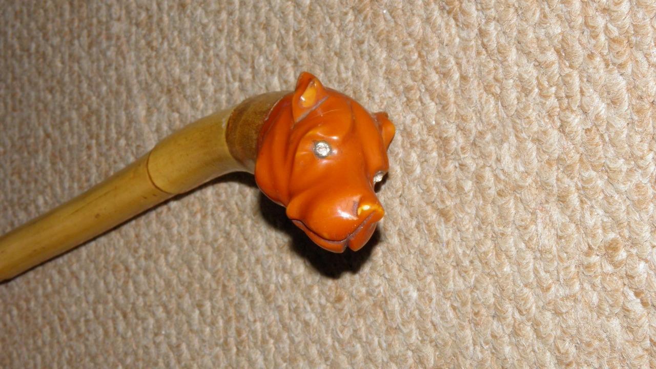 Antique Flexible Bamboo Walking Stick / Cane – Pit Bull Terrier Dog Head Top