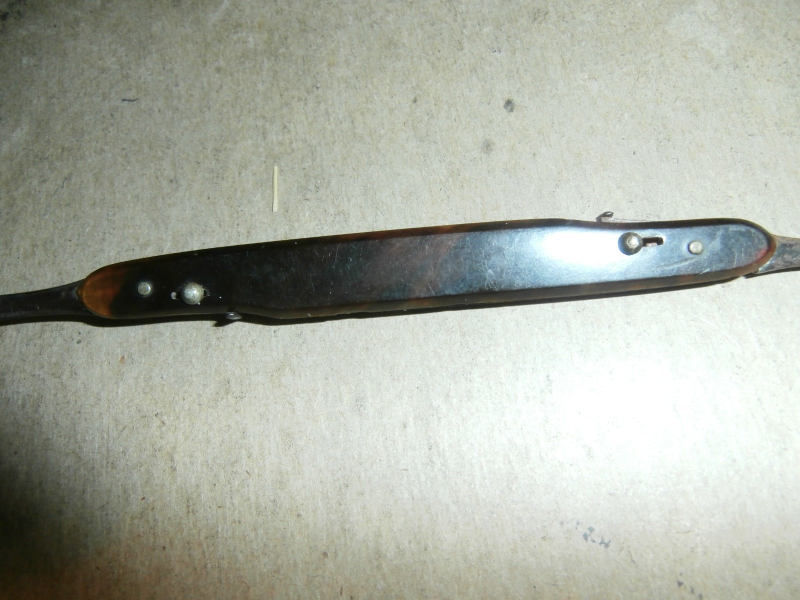 Antique Shepard & Dudley Tortoise Shell Scalpel Knife & Hook Medical Lancet ?