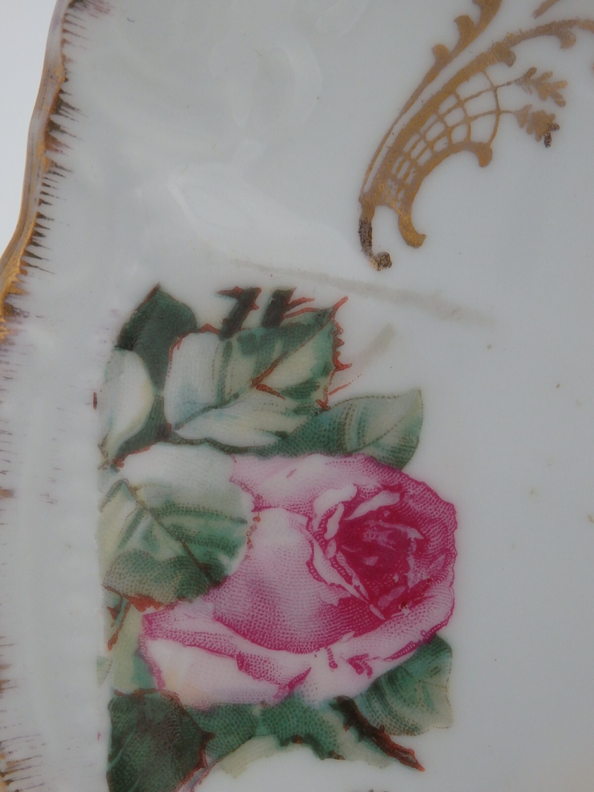 PM Bavaria VTG 8″ Plate Napoleon Transfer Portrait with Pink Roses and Gold Trim