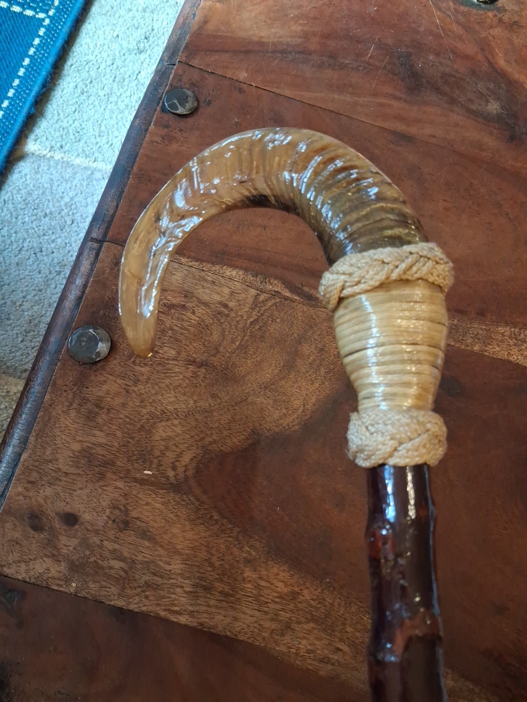 Rams Horn Shepherds Crook, 117cm