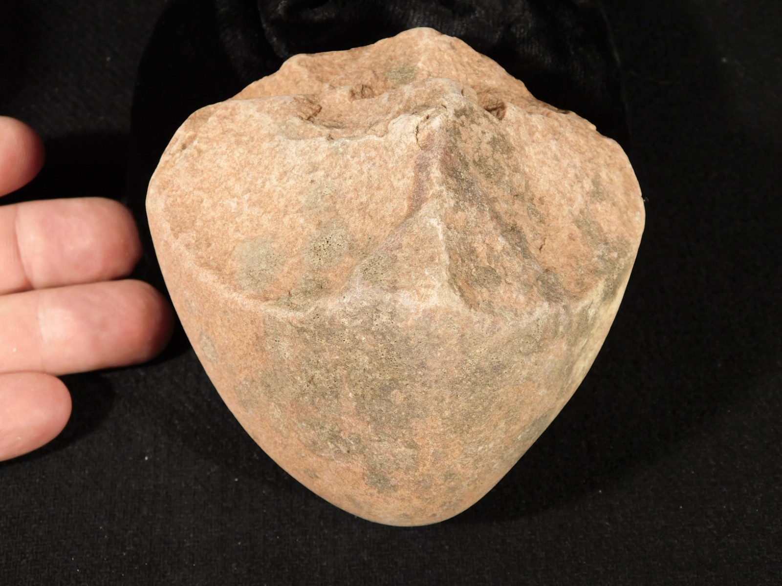 Larger Paleolithic Early MAN OLDOWAN Pebble CHOPPER Stone ARIFACT Algeria 592gr
