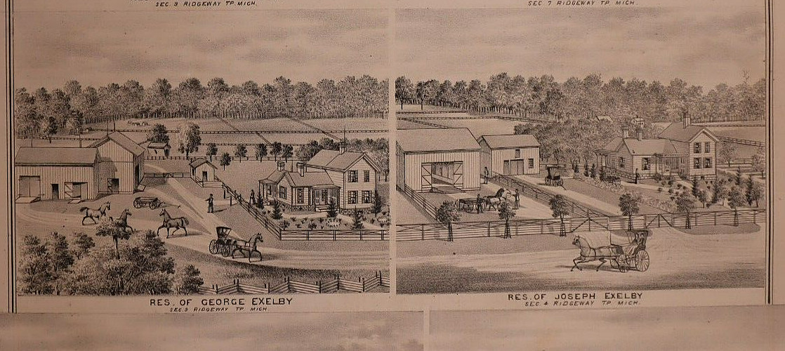 1874 Plat Map ~ RIDGEWAY Twp., LENAWEE Co., MICHIGAN / Local Homes on Reverse