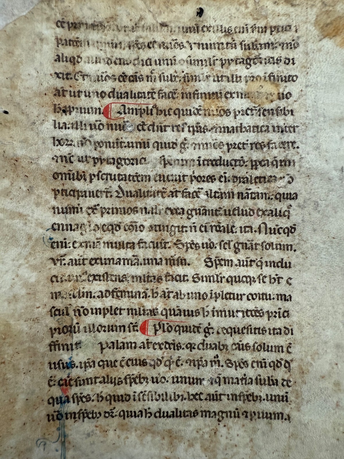 Leaf from a 13th century Medieval Latin manuscript of Aristotle’s Metaphysics