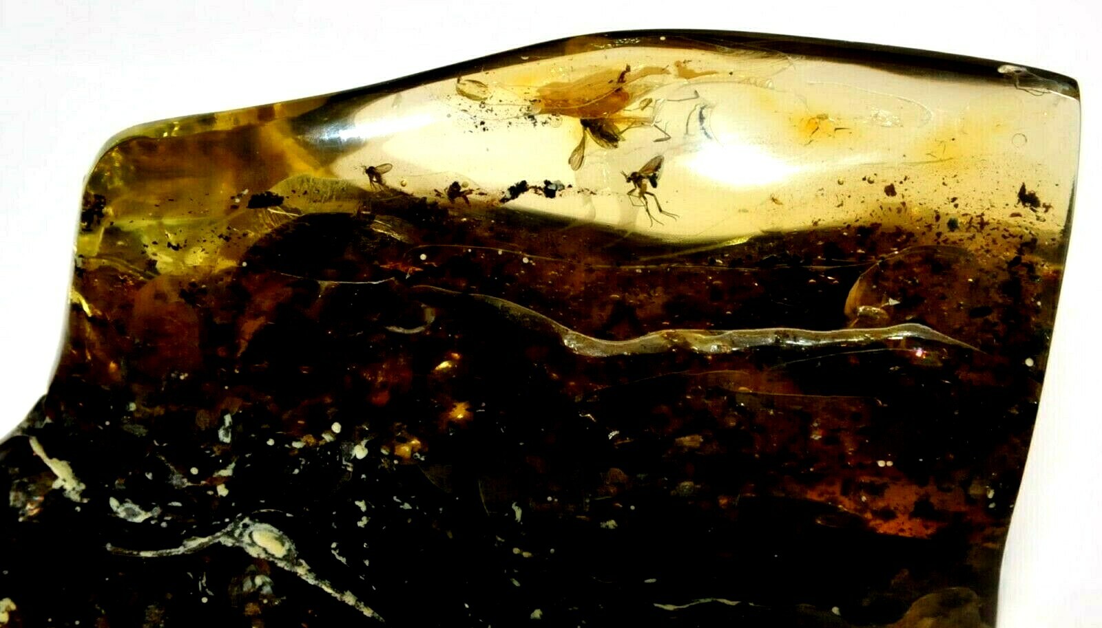 118gr RUSSIAN SOVIET RARE BALTIC SEA INSECT AMBER GEMSTONE 老琥珀 KALININGRAD ROCK