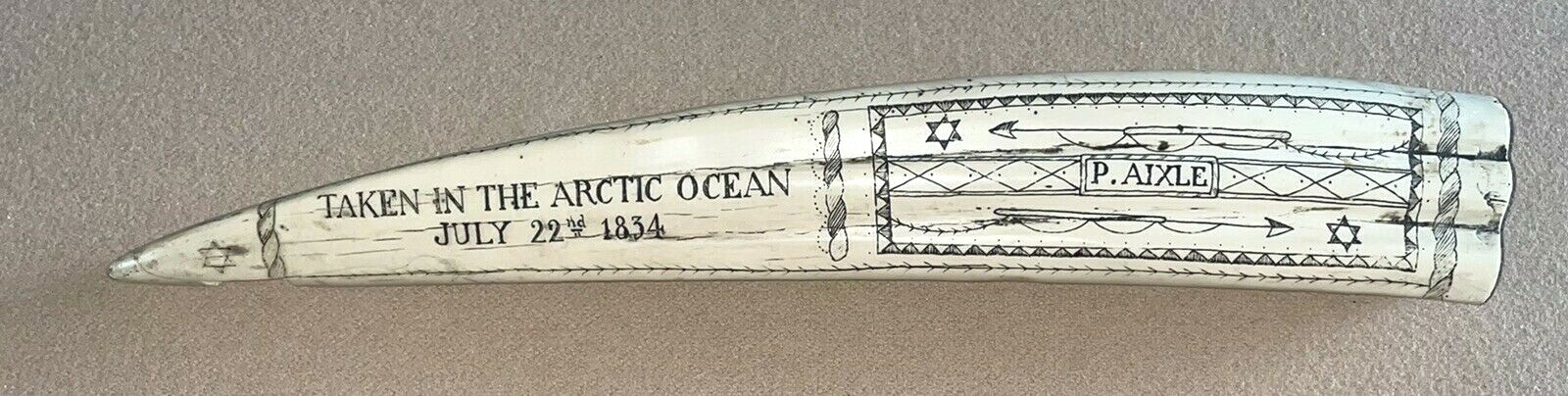SCRIMSHAW REPLICA WALRUS TUSK P. AIXLE ” THE SHIP NOLAN ” ARTIC OCEAN TAKEN 1834