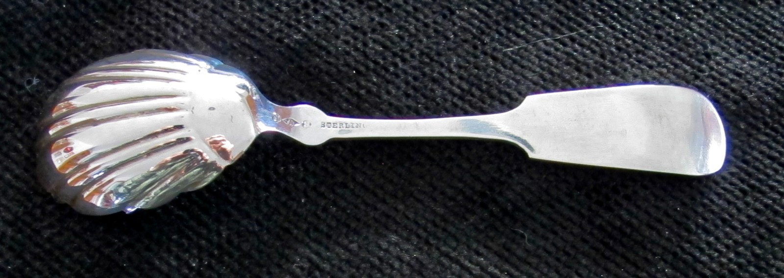 Antique Sterling Silver HOTCHKISS & SCHREUDER Scallop Shell Bowl Sugar Spoon