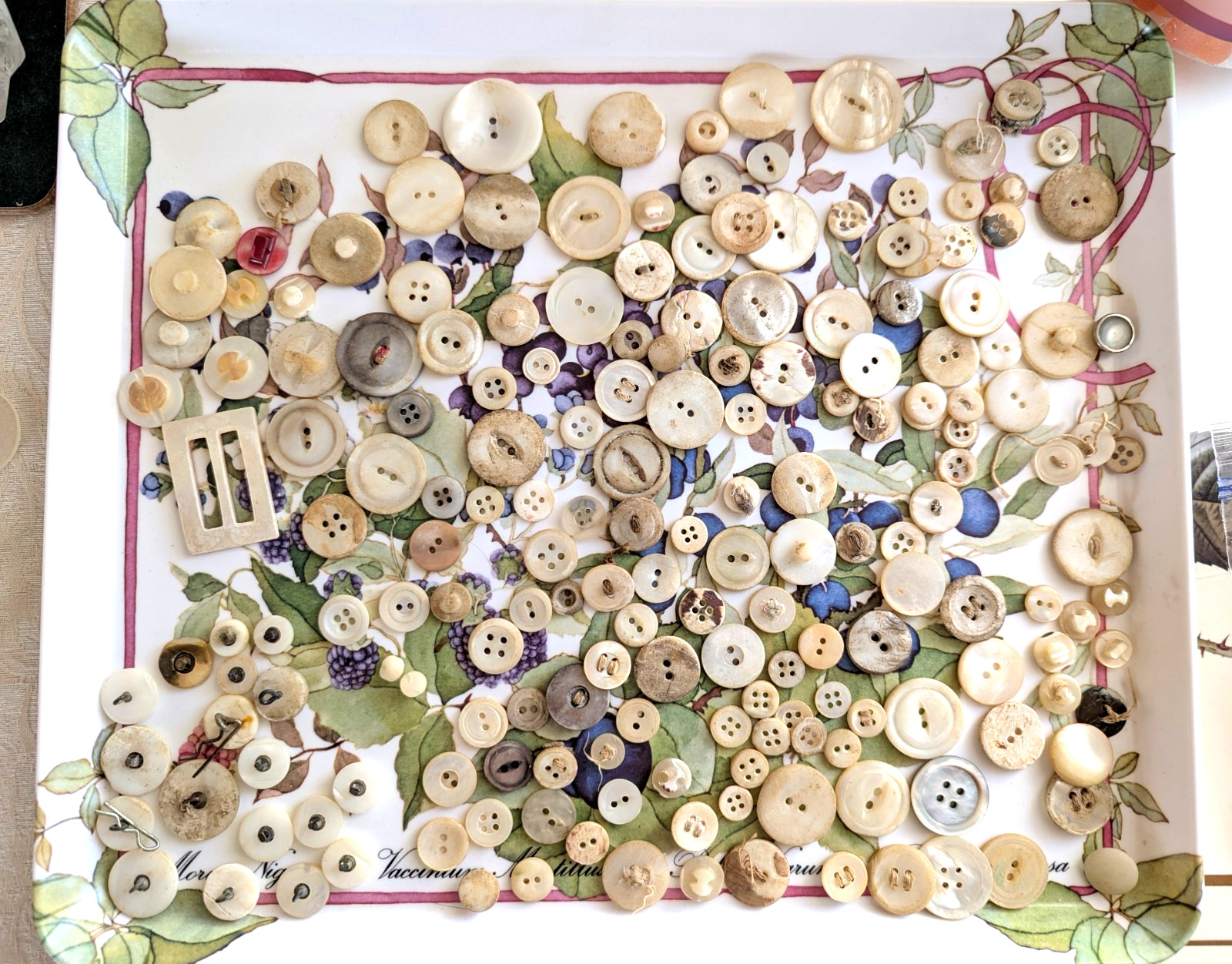 Lot 50+ Shaped Carved MOP Shell Buttons Vintage Mother Of Pearl Metal Shank