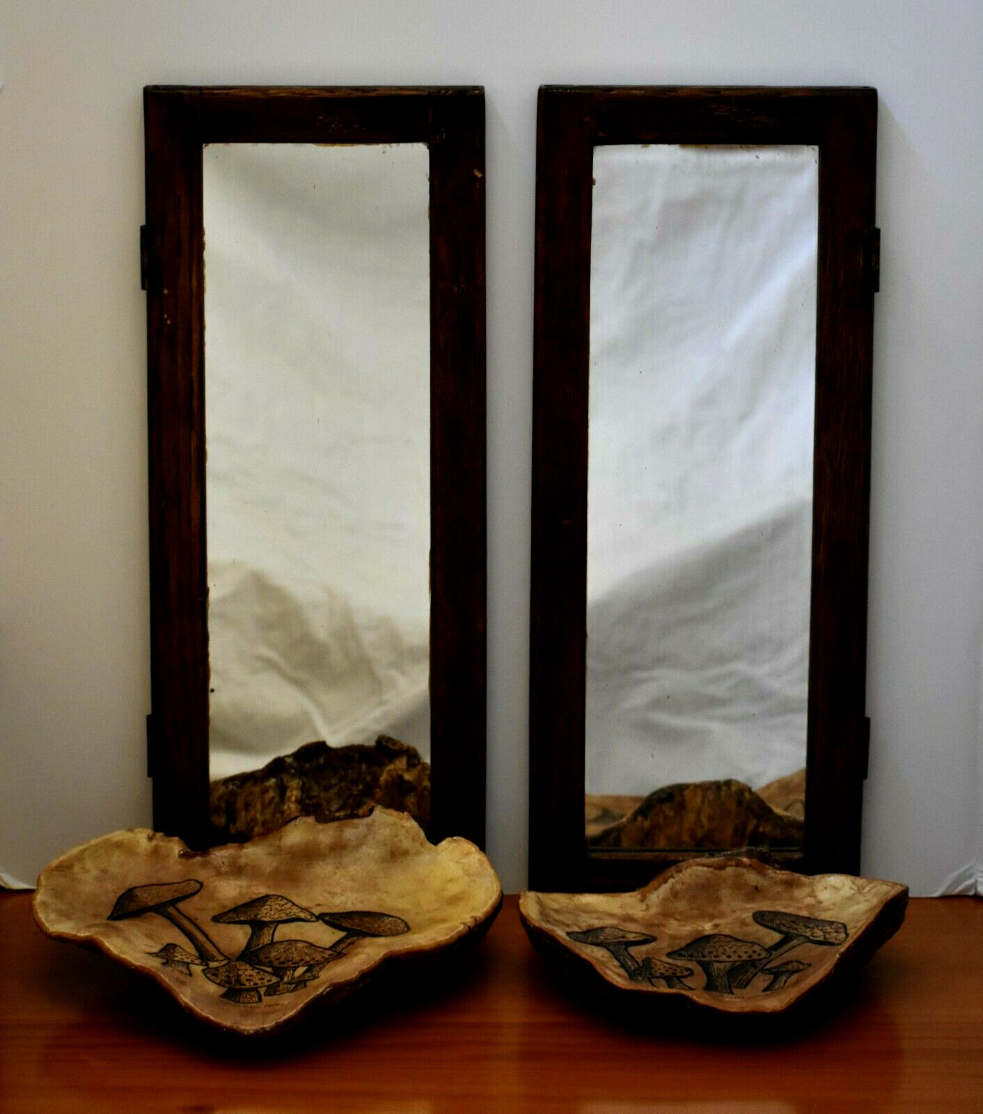 Antique Mirrors Oak Repurposed Art with Conk/Toad Stool Mushroom Art Shelves Set