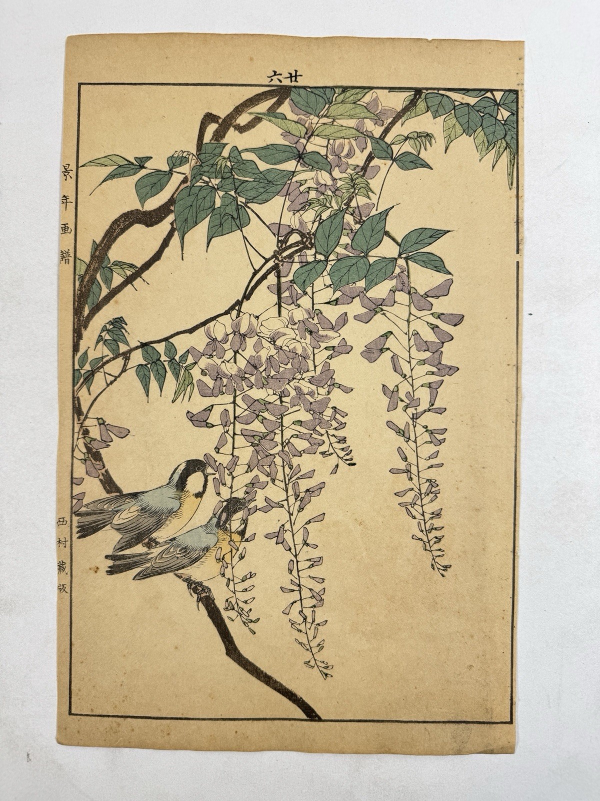 Japanese Woodblock Bird Print “Coal tit” from “Keinen Kacho Gafu” №26