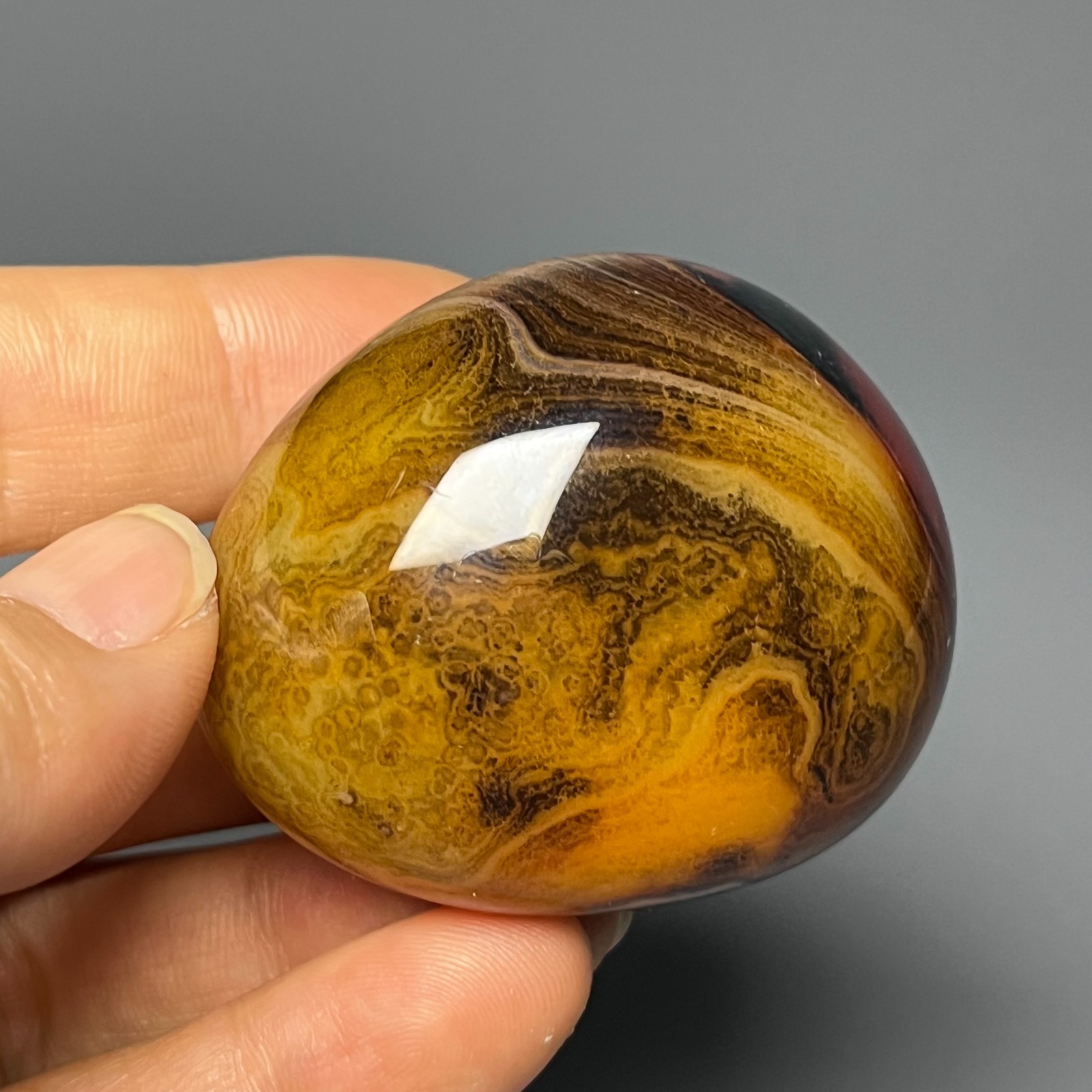 Crazy Natural lace banded Agate palm stone reiki healing Agate Jade Art Ornament