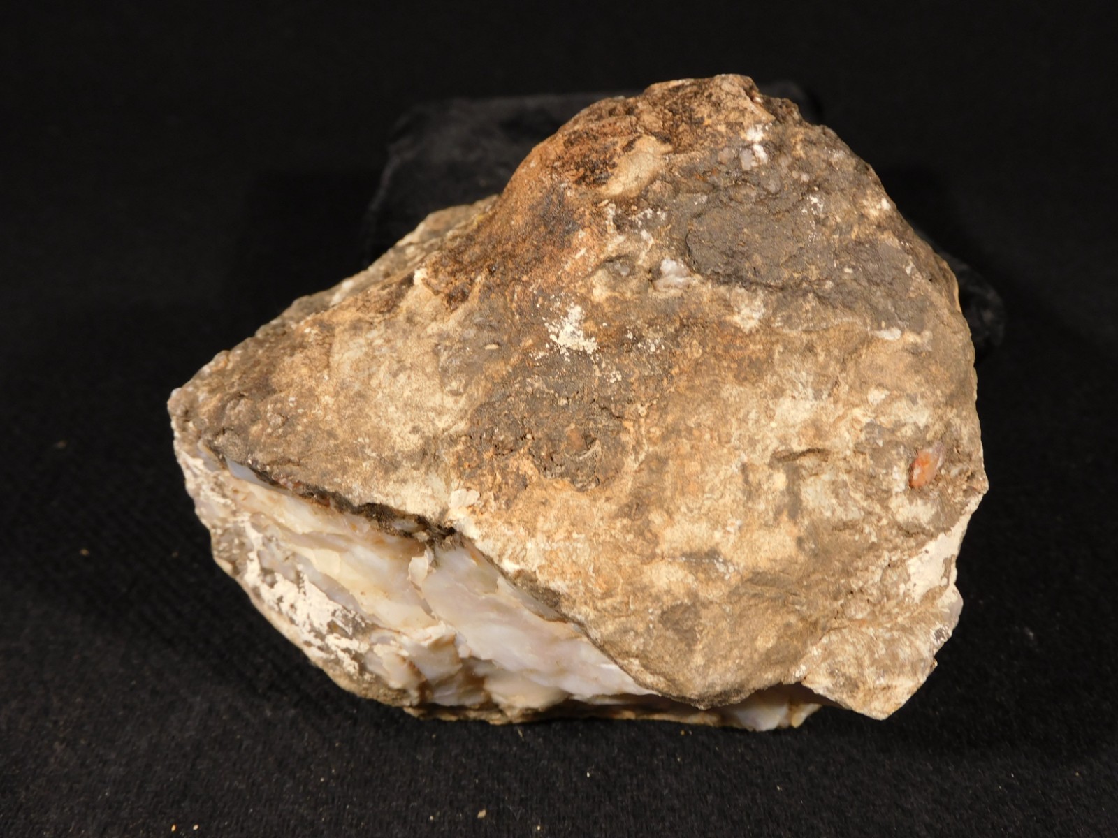Big! 200 Million Year Old DINOSAUR TURD Fossil or COPROLITE Jurassic Utah 892gr
