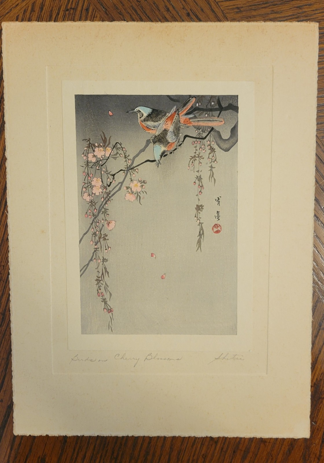 Birds on Cherry Blossoms, by Watanabe Shotei (Japanese Painter) Woodblock Print