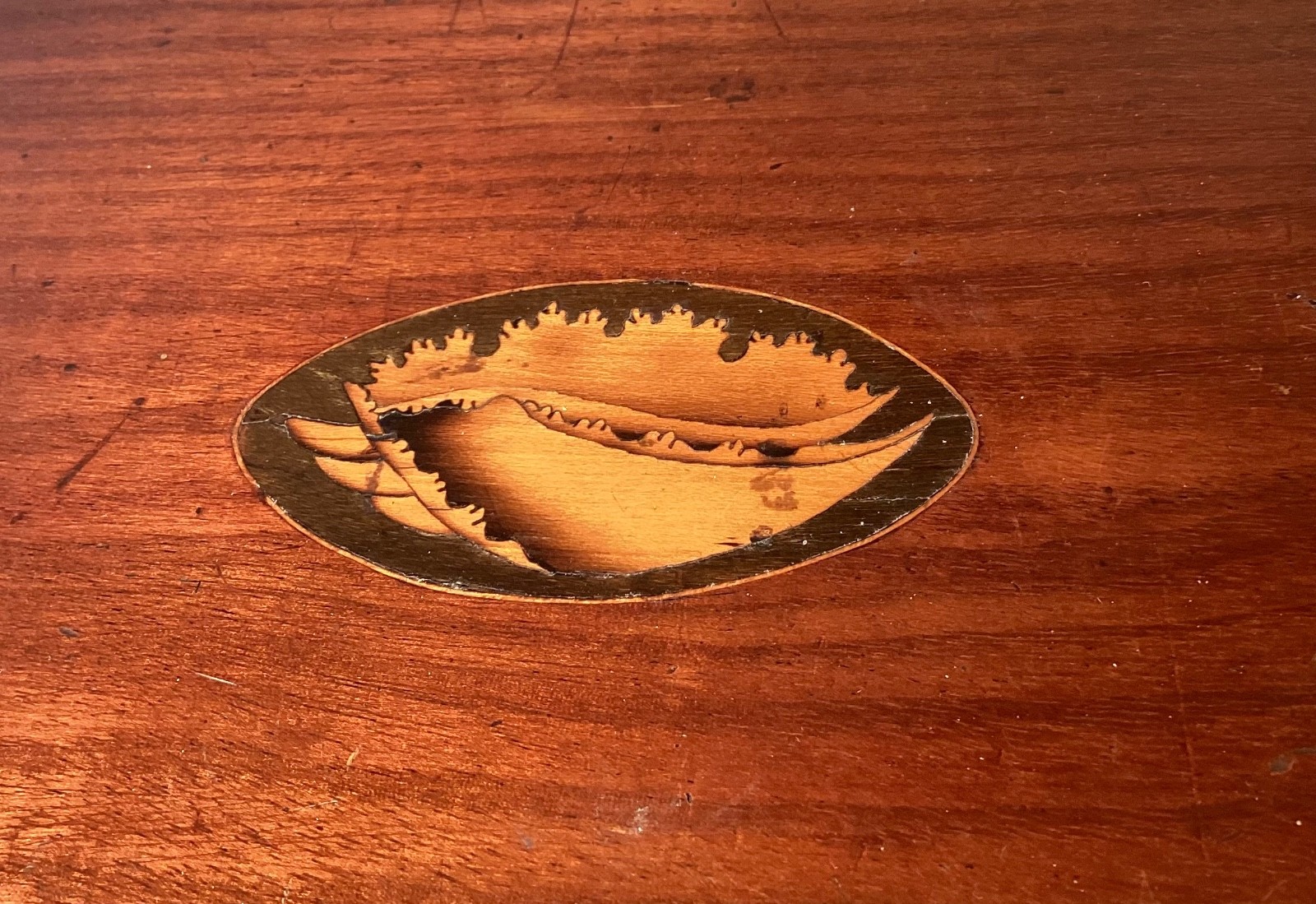Georgian Inlaid Six Bottle Decanter Case or Box. Shell Inlays. Genuine.