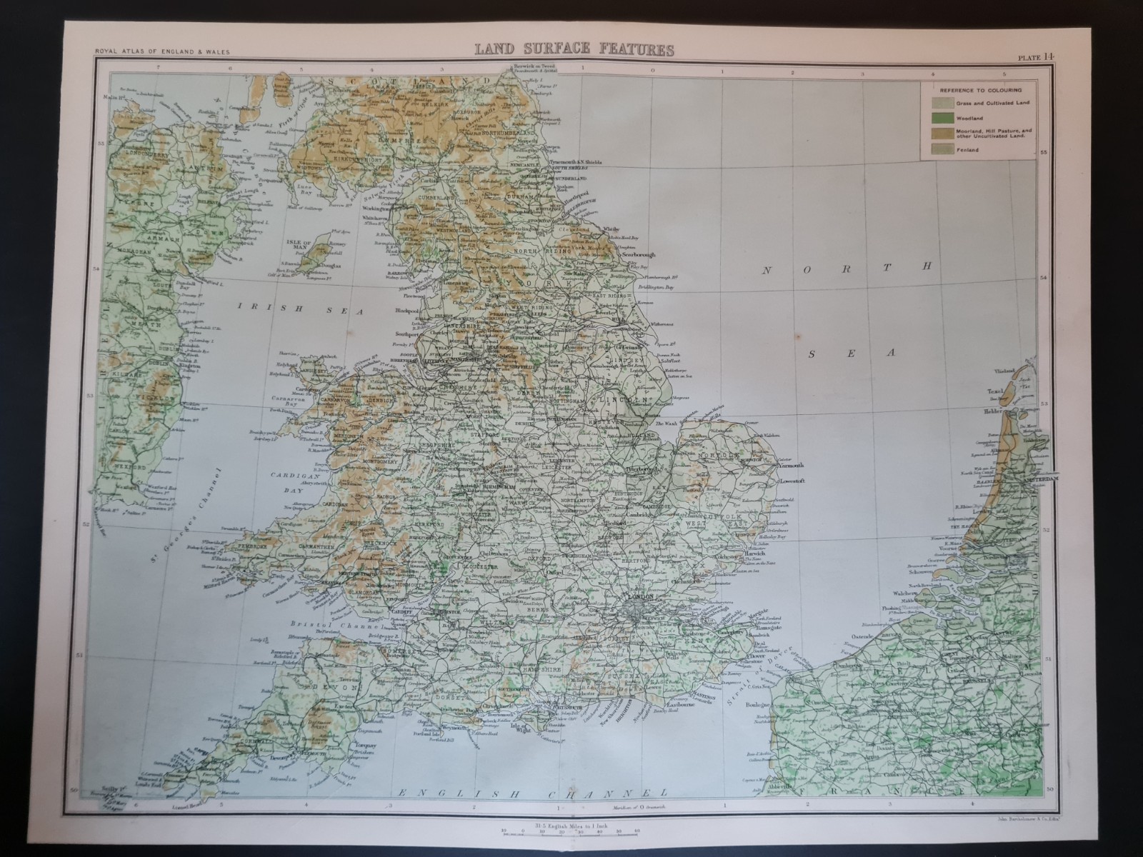 Antique 1898 Map – England & Wales – Land Surface – Woodland – Moorland – Fens