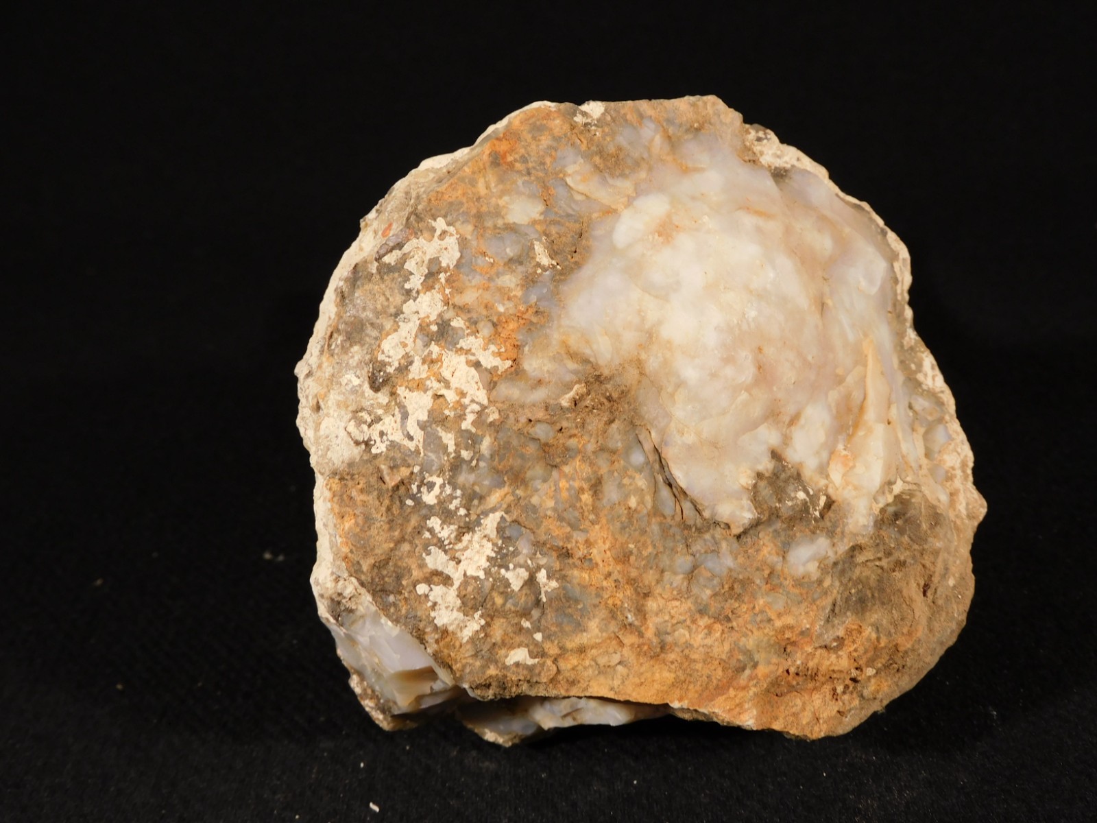 Big! 200 Million Year Old DINOSAUR TURD Fossil or COPROLITE Jurassic Utah 892gr