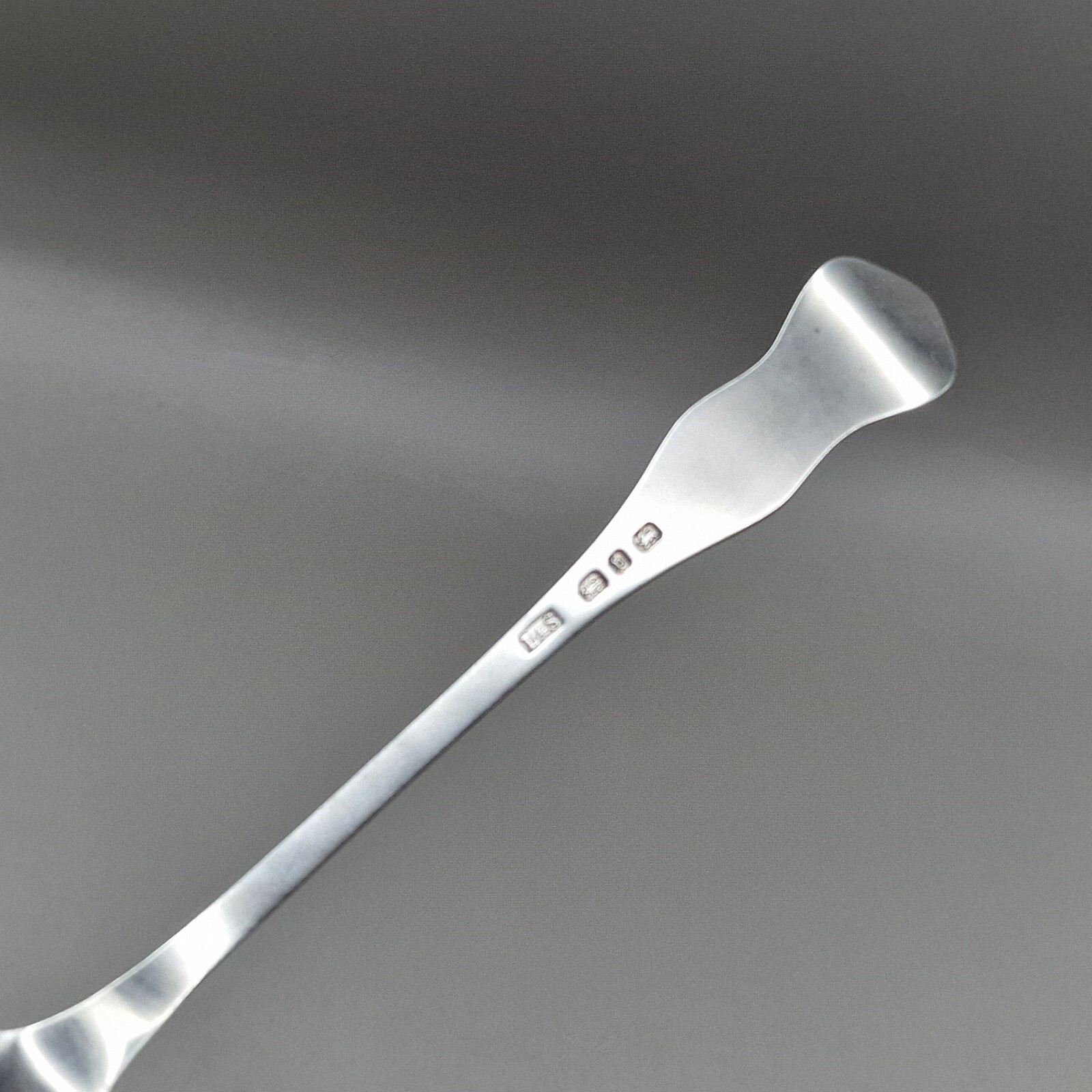 Solid Silver Cheese Scoop Spoon Gadroon Pattern by Levi & Salaman 1895