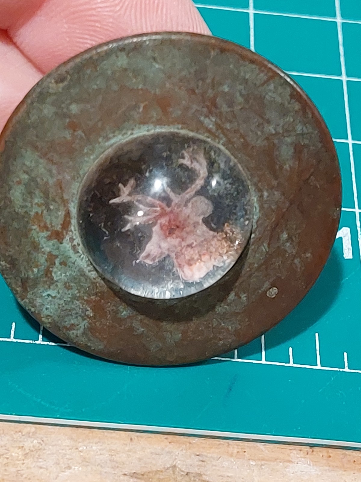 ANTIQUE BUTTON WITH ELK HEAD Flying Saucer Shape Odd Horse Bit Tack