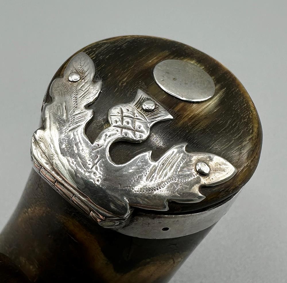 GEORGIAN SCOTTISH THISTLE SILVER MOUNTED RAMS HORN SNUFF MULL c1820