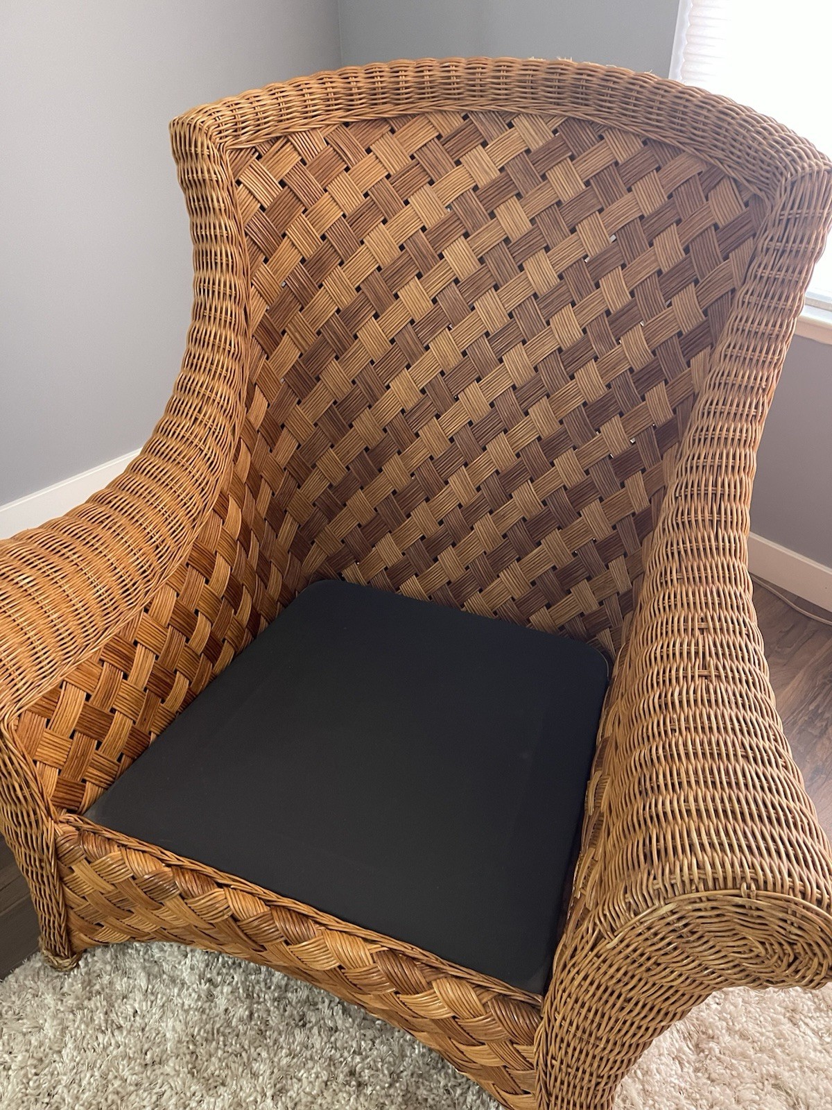 NORTHERN CALIFORNIA’s Own Big Daddy and Companion PALECEK Chairs