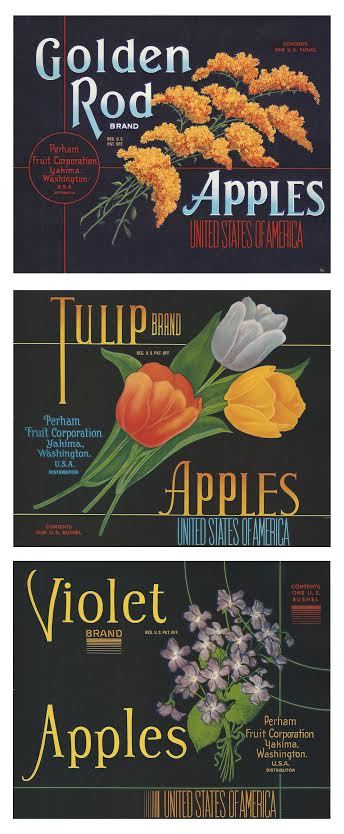 RARE LOT OF (3) 1940S “TULIP~GOLDEN ROD~VIOLET BRAND” APPLE BOX LABELS YAKIMA WA
