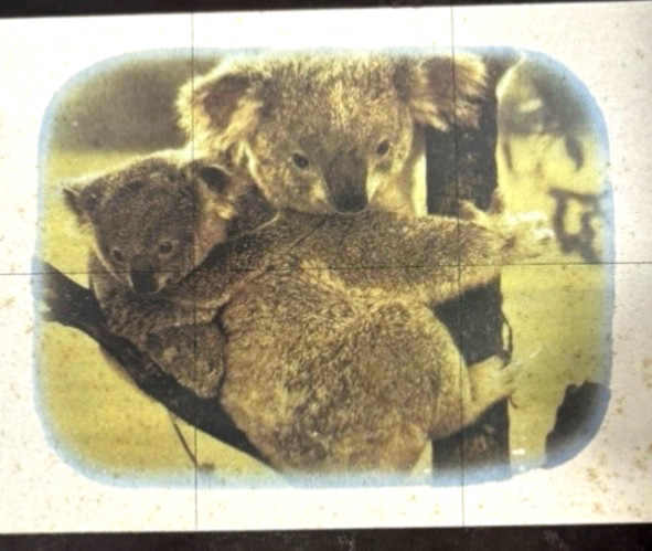 Hoyne Mirro Scene Koala Bears 24” x 36” Glass Mirror Tiles NOS vtg 70s USA