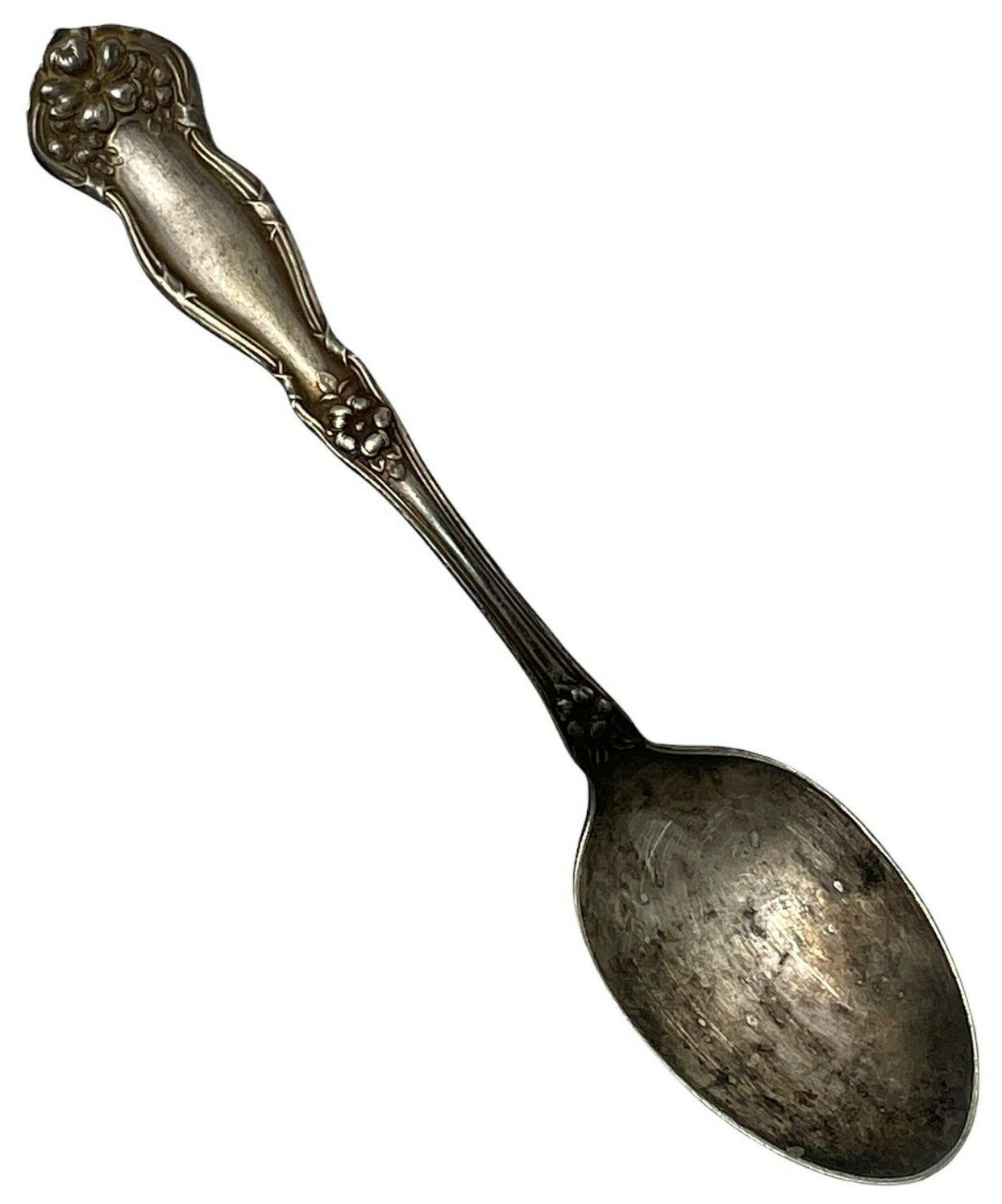 Wm. ROGERS & SONS 1908 ARBUTUS PATTERN 6″ SPOON VINTAGE