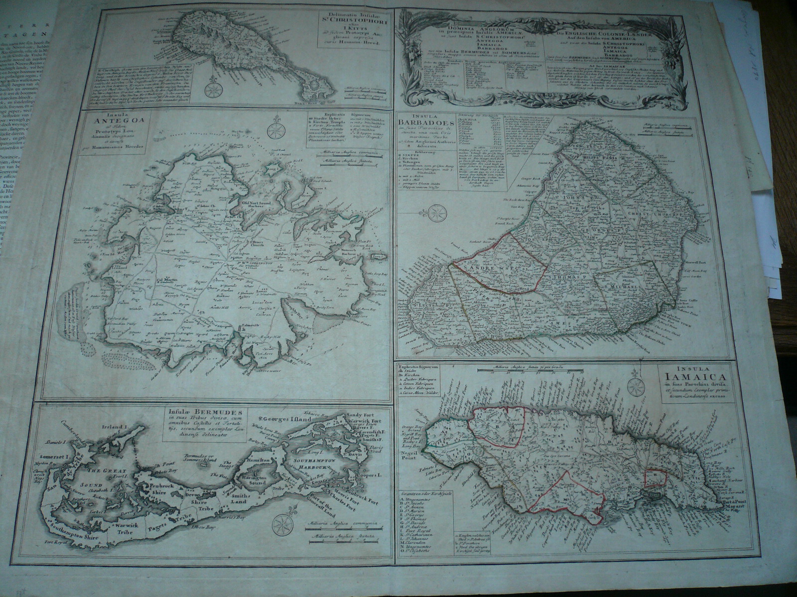 Dominia Anglorum–Carribean–map–Homann Heirs anno 1750–ORIGINAL