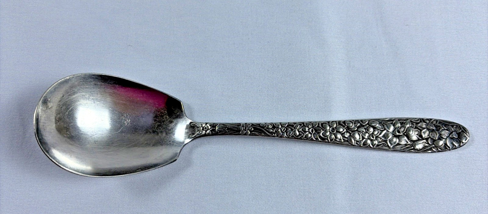 National Silver Co Narcissus Vintage ~6” Sugar Spoon Silver Plate