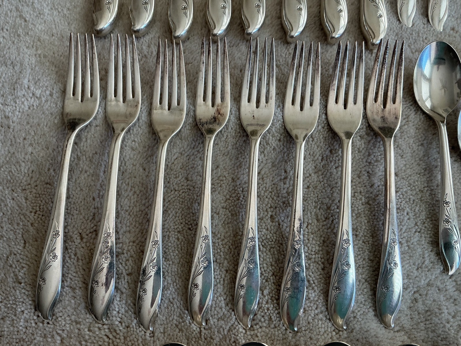 Roger Bros SPRINGTIME Silverplate Flatware Silverware 50 Piece Set, Serving Pcs