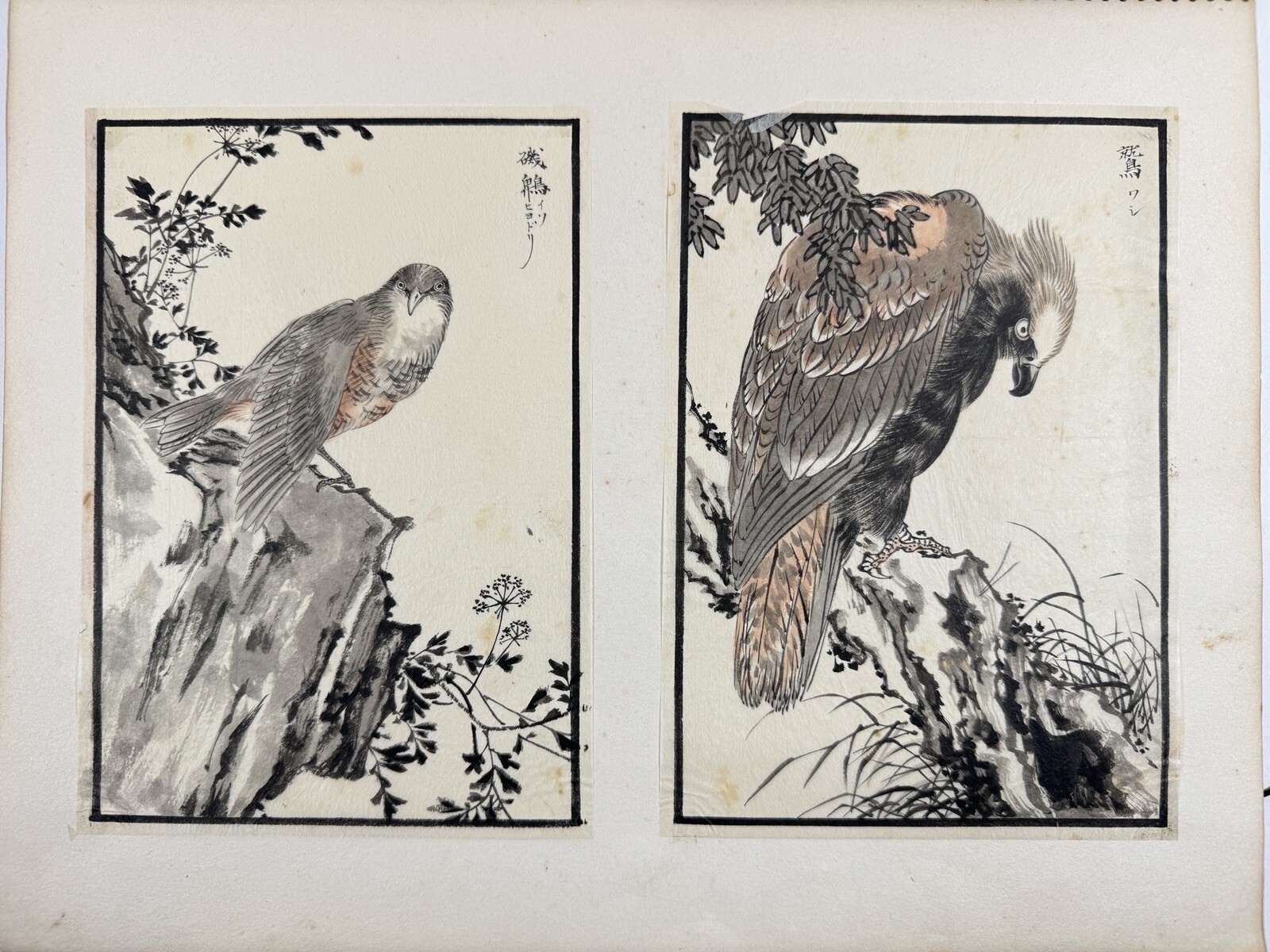 Japanese Drawing Book “Kachoshu” Picture of birds and flowers 49 illustration