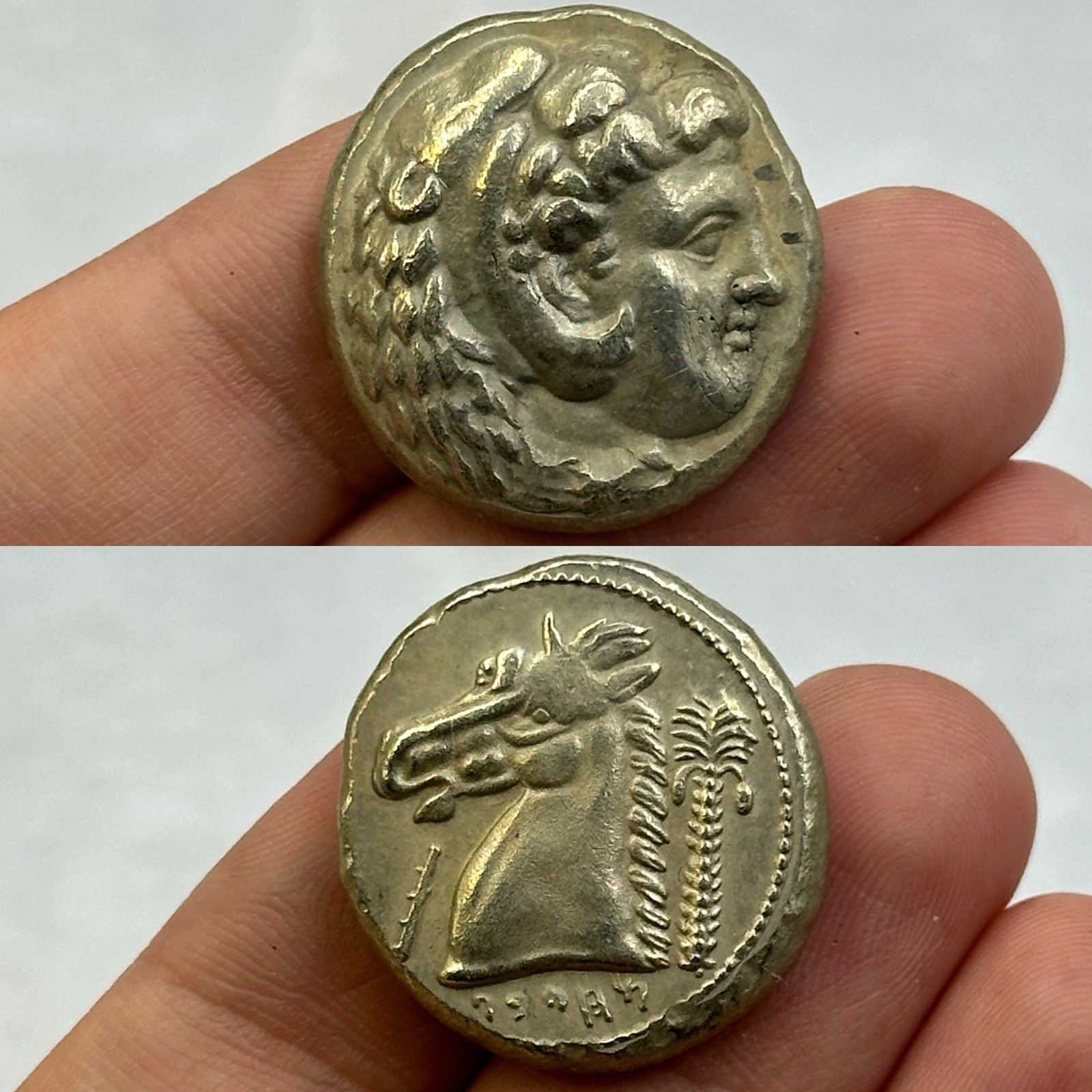 Unresearched Ancient Greek Tetradrachm Entella With Herakles And Horse Image
