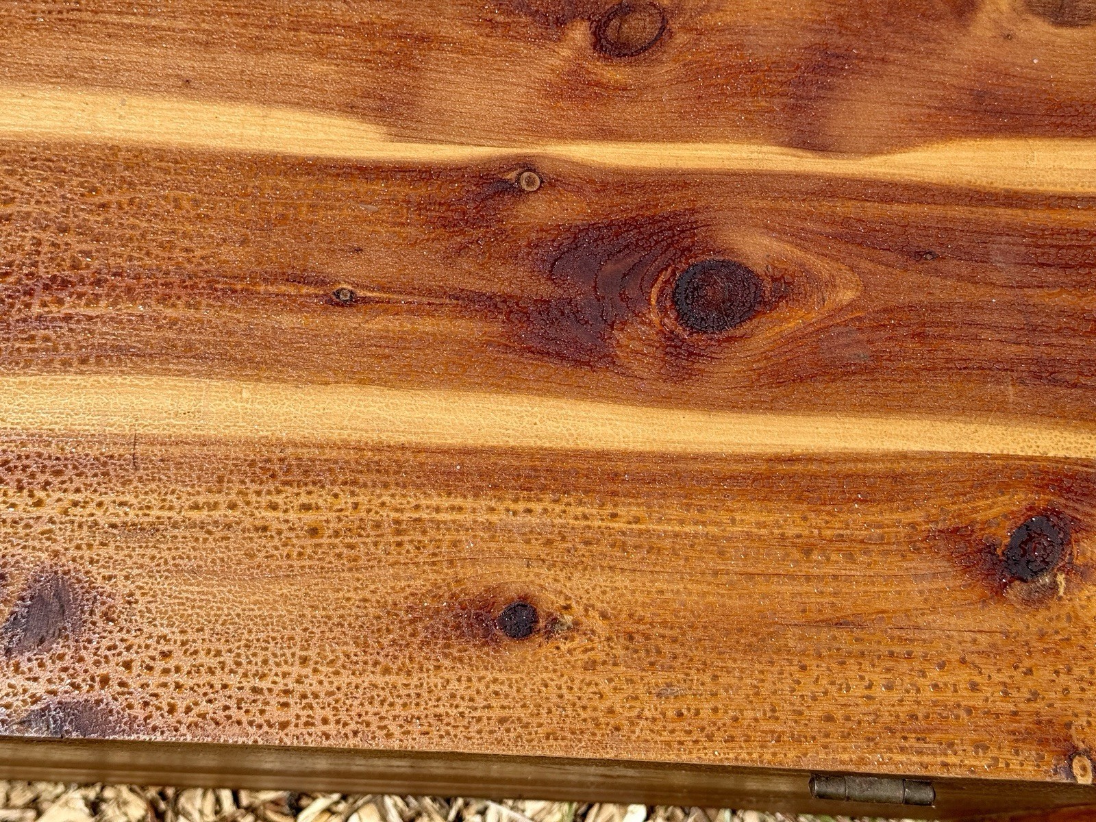 Cedar Wood Hope Blanket Chest Early 20th Century