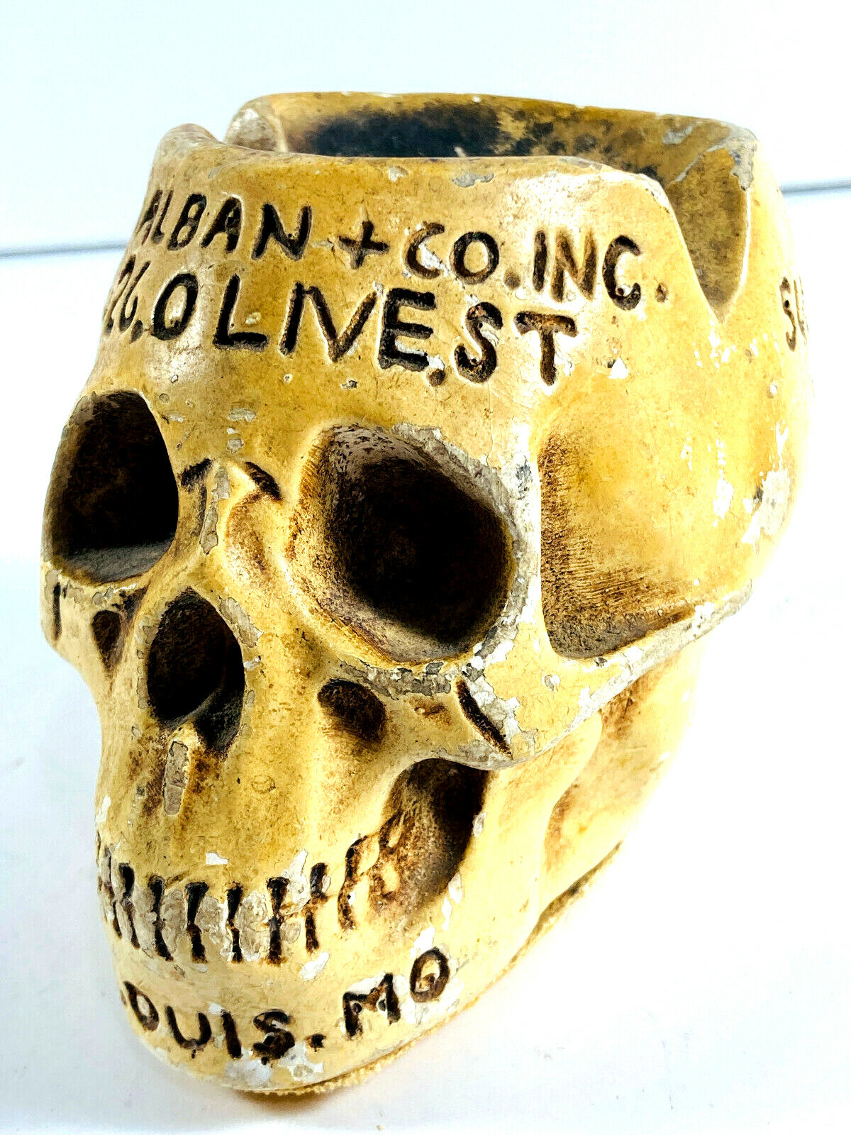 Antique chalkware Skull Ashtray Alban Medical Supply St Louis Missouri WOW