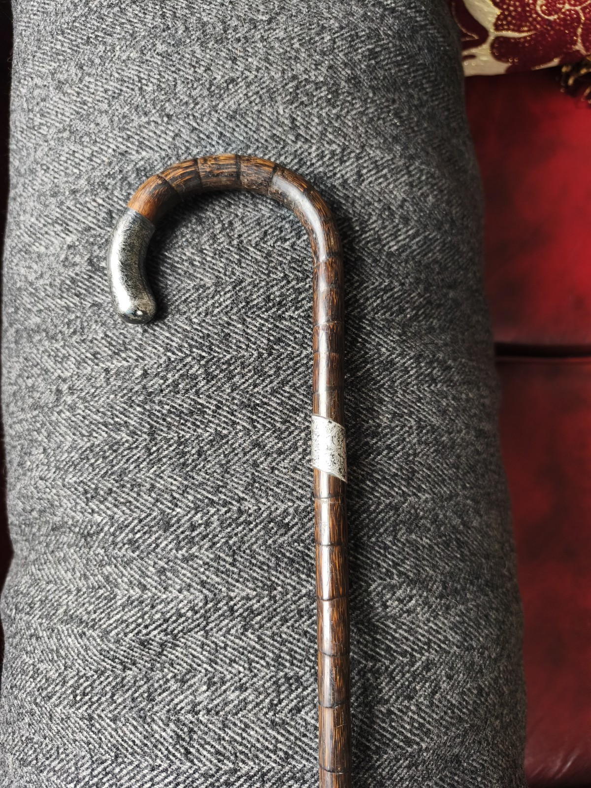 Cane Silver Walking Stick
