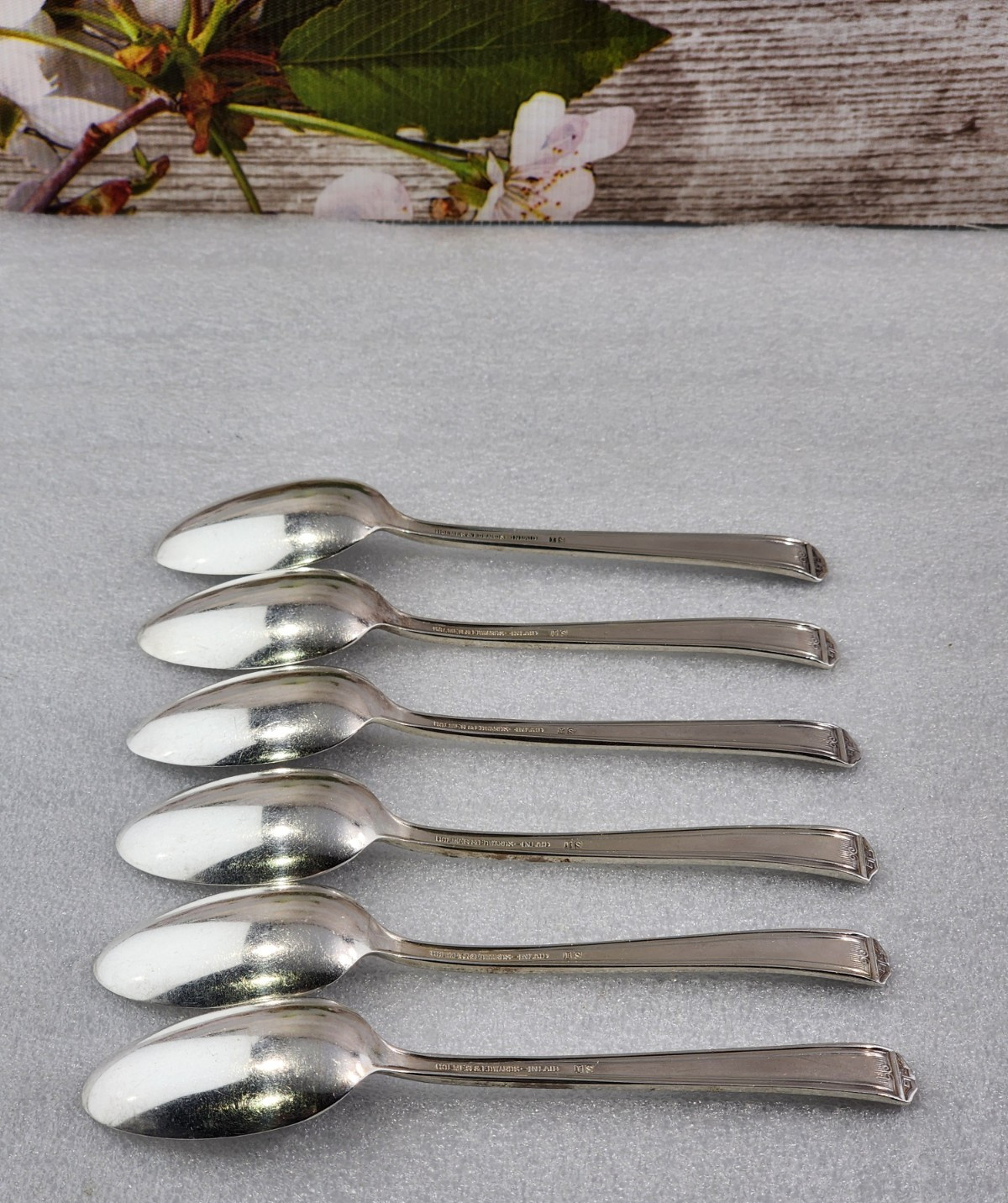 I.S. CENTURY Holmes & Edwards Silver Plate 1923 Teaspoons (6)-Free Shipping!